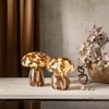 Startrading Funghi Sieni Lasikoriste